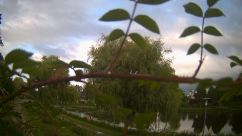 Rosarium Webcam