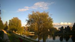 Rosarium Webcam