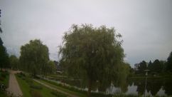 Rosarium Webcam