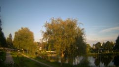 Rosarium Webcam