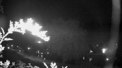 Rosarium Webcam