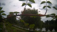 Rosarium Webcam