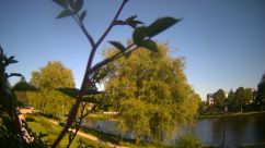 Rosarium Webcam