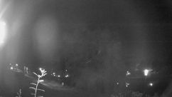 Rosarium Webcam