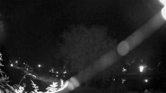 Rosarium Webcam