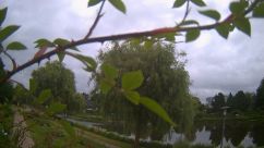 Rosarium Webcam