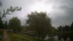 Rosarium Webcam