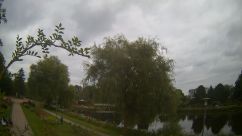Rosarium Webcam