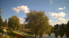Rosarium Webcam