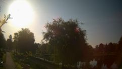 Rosarium Webcam