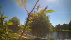 Rosarium Webcam