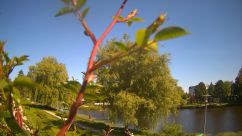 Rosarium Webcam