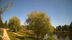 Rosarium Webcam