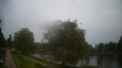 Rosarium Webcam