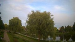 Rosarium Webcam