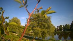 Rosarium Webcam