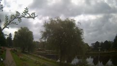 Rosarium Webcam