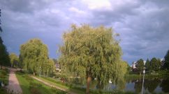 Rosarium Webcam