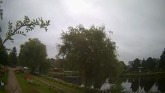 Rosarium Webcam