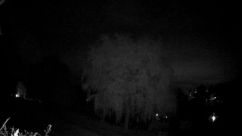 Rosarium Webcam