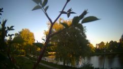Rosarium Webcam