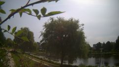 Rosarium Webcam