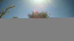 Rosarium Webcam