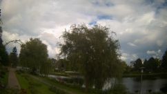 Rosarium Webcam