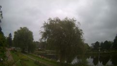 Rosarium Webcam