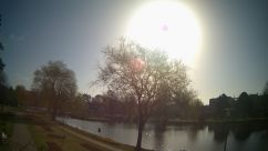 Rosarium Webcam