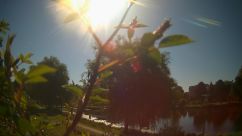 Rosarium Webcam