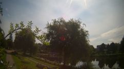 Rosarium Webcam