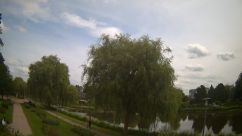Rosarium Webcam
