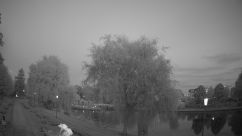Rosarium Webcam