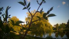 Rosarium Webcam