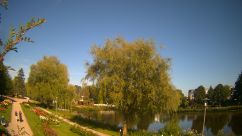 Rosarium Webcam