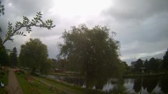 Rosarium Webcam
