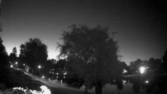Rosarium Webcam