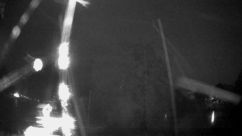 Rosarium Webcam