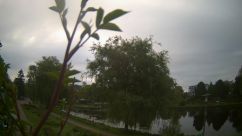 Rosarium Webcam