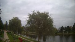 Rosarium Webcam
