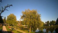 Rosarium Webcam