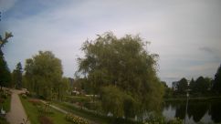 Rosarium Webcam