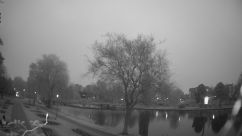 Rosarium Webcam