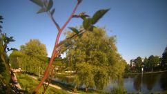 Rosarium Webcam