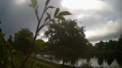 Rosarium Webcam