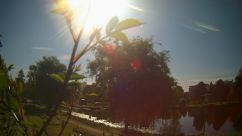Rosarium Webcam