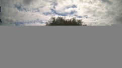 Rosarium Webcam
