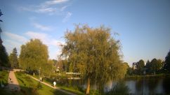 Rosarium Webcam