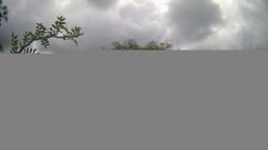 Rosarium Webcam